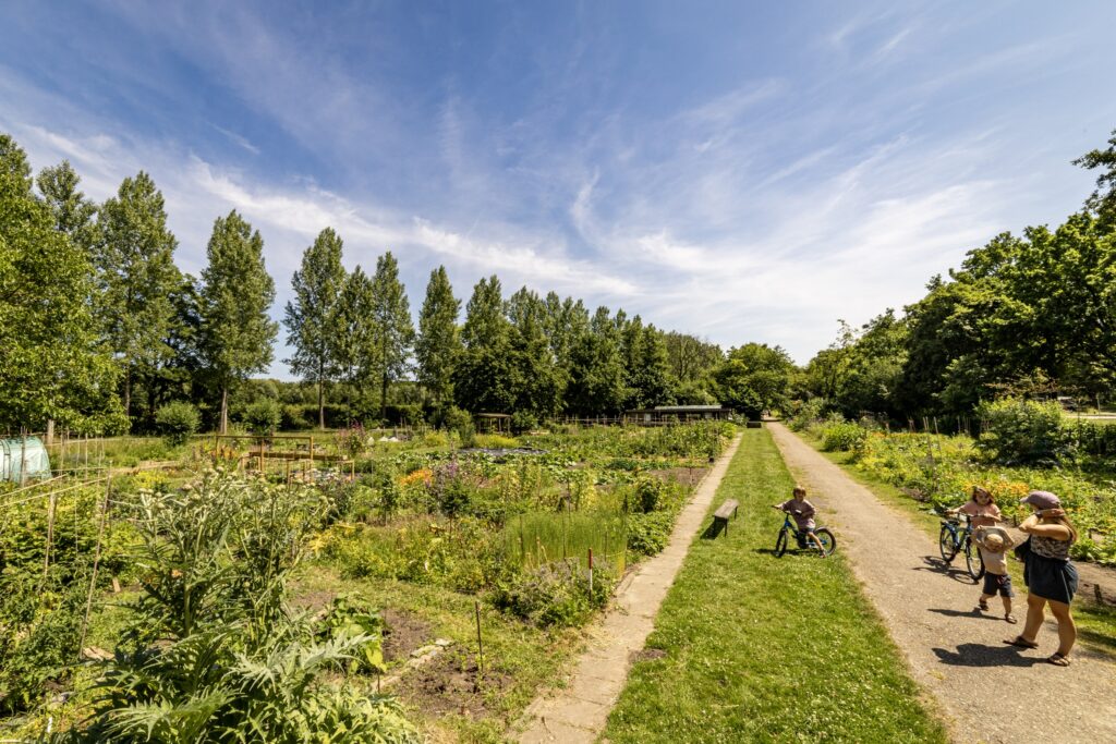stadstuin zuilen