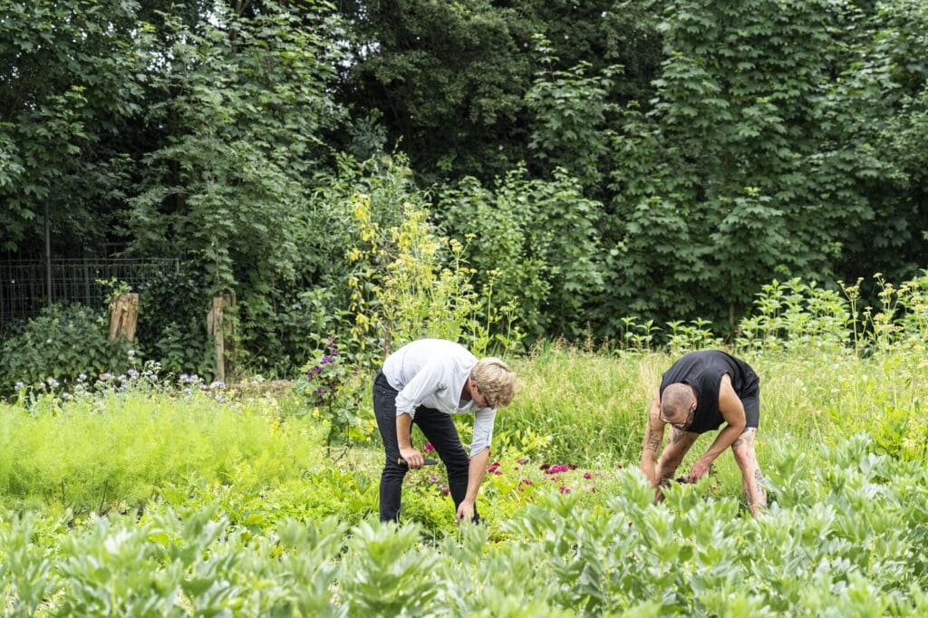 Twee mensen gebukt in de moestuin aan het werk