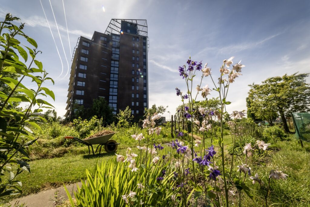 Stadstuin kanaalweg