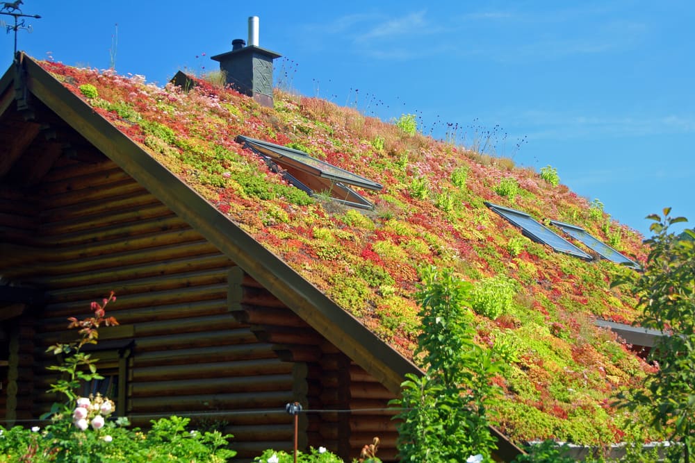 Een huis met een groen dak